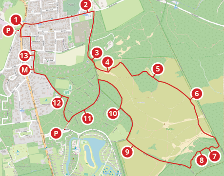 Kaart zoem de zandbij met tussenstops