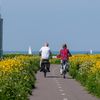 Vuurtoren De Ven Enkhuizen Oosterdijk