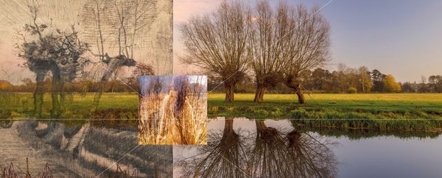 Van Gogh Nationaal Park in Noord-Brabant, een uniek landschap geïnspireerd door de werken en wandelingen van Vincent van Gogh, met aandacht voor natuurbehoud, duurzaamheid en cultuurhistorie