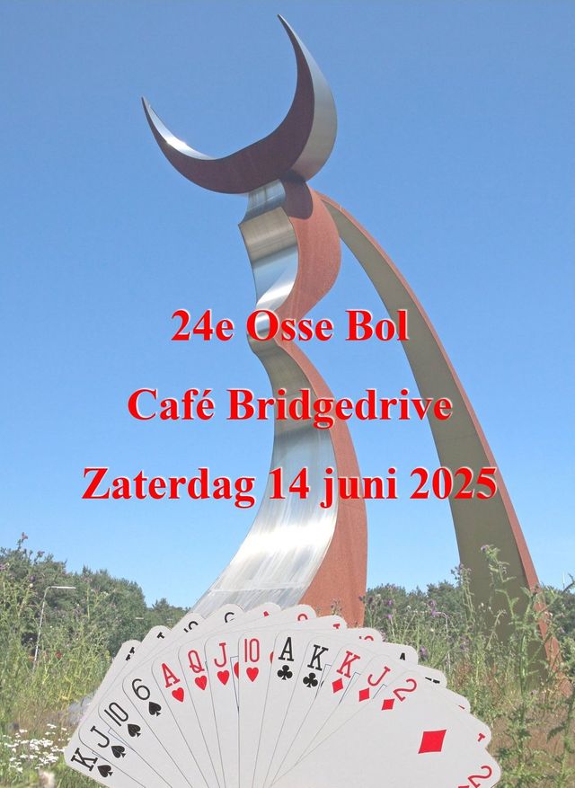 Poster Bridgedrive