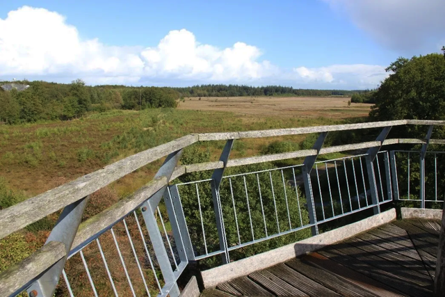 Aussicht vom Aussichtsturm Holmers-Halkenbroek. Eine weite Landschaft mit Wald im Hintergrund