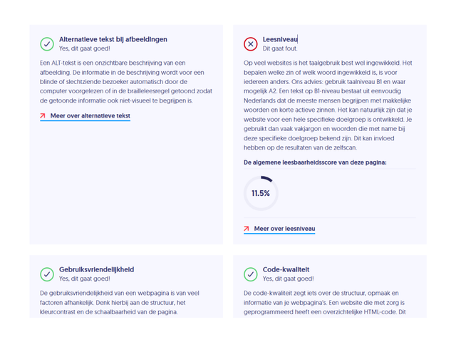 Rapport van een scan voor de toegankelijkheid van een website.