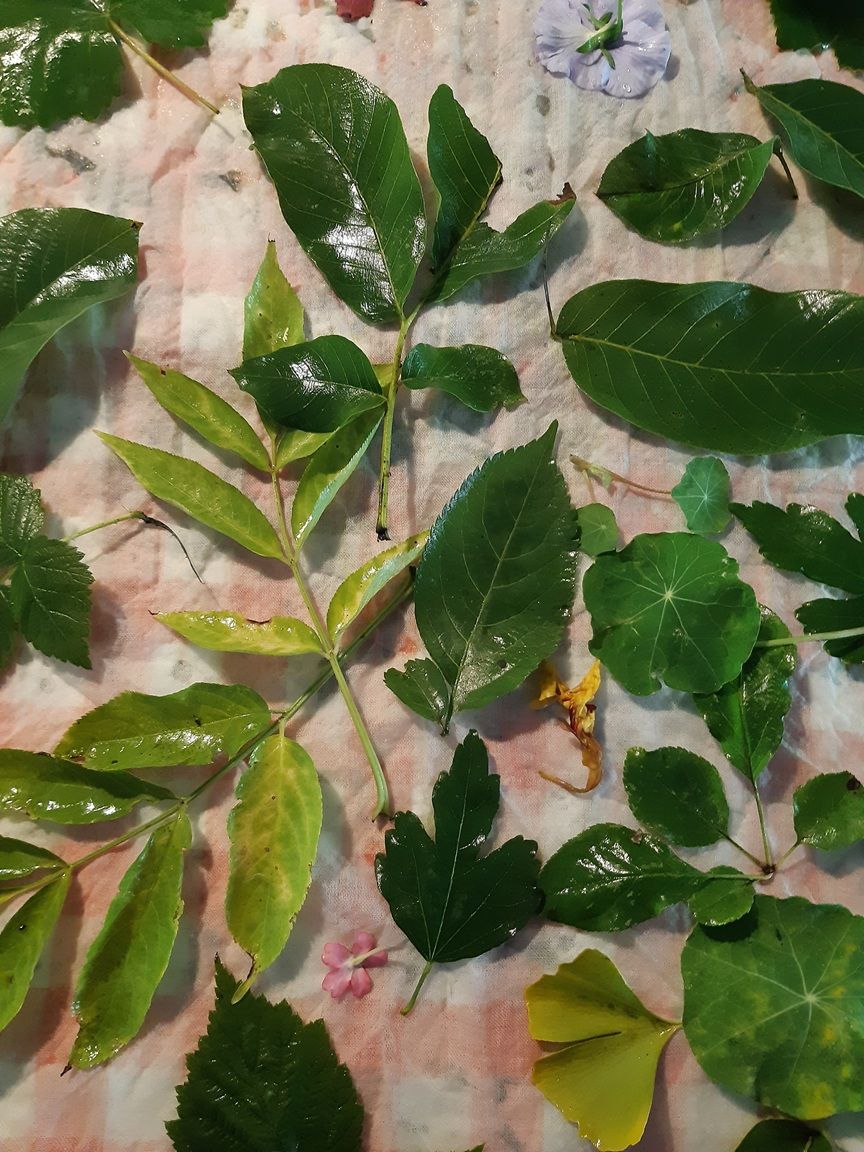 Ecoprint workshop in de herfst bij Atelier Westerwind