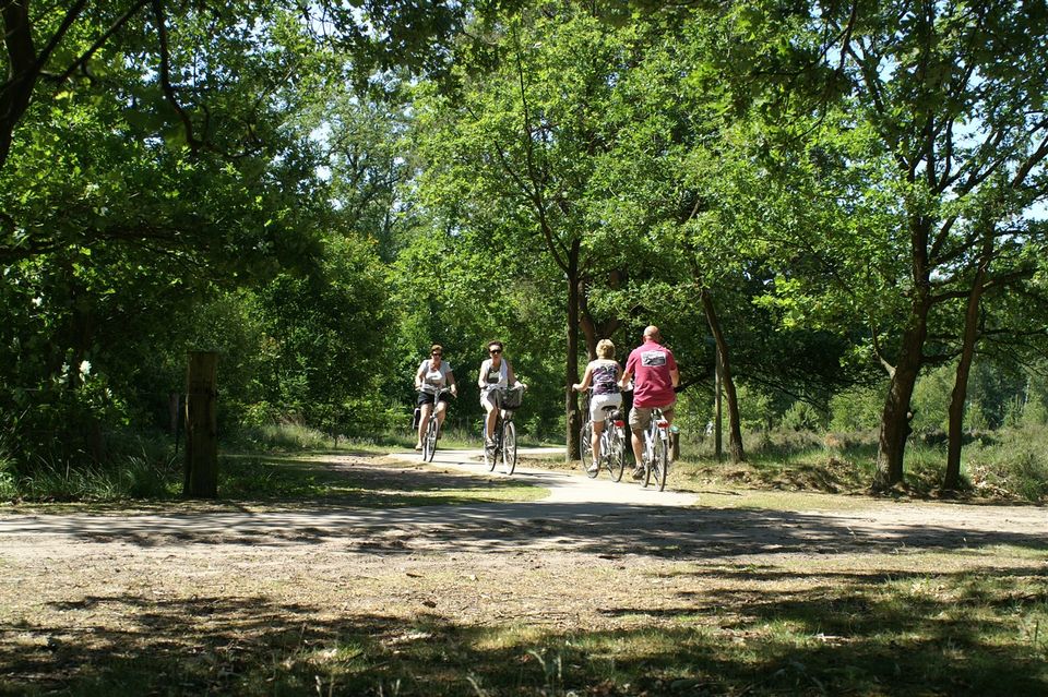 Fietsers in de zomer