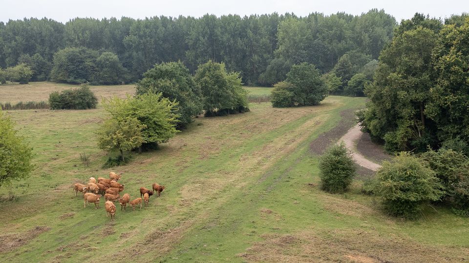 Opening Pelgrimsroute Hollandse Hout 04