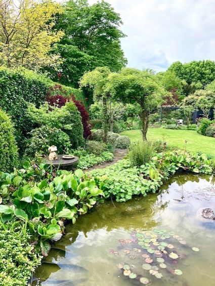Tuin in volle bloei met vijver aan de voorgrond