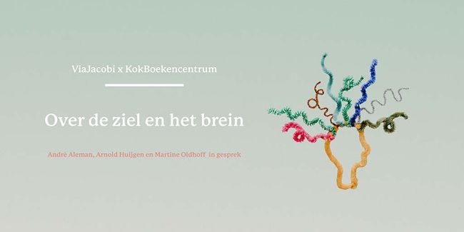 Over de ziel en het brein