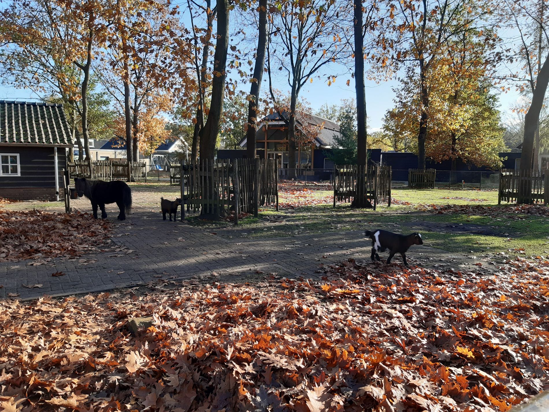 Kinderboerderij ORO Rijtven Deurne
