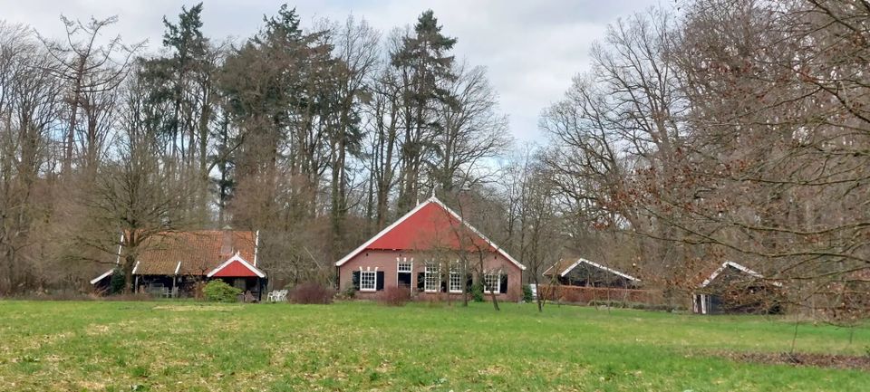 IVN-KNNV | Voorjaarswandeling in Ratum