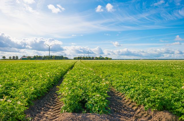 Groen ondernemen almere