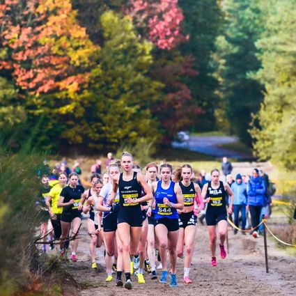 OER cross Havelterberg