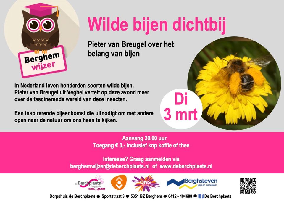 Poster van de lezing over de wilde bijen bij de berchplaets