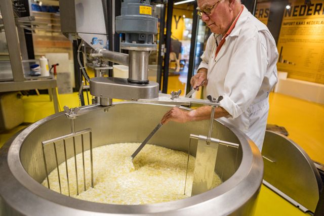 Kaasmaker roert met de hand in een grote wrongelketel tijdens een demonstratie kaasmaken in het Kaaspakhuis Woerden – typisch Hollandse ambacht in de regio Utrecht.