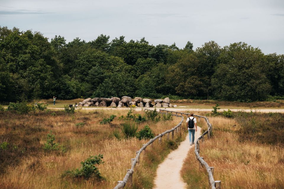 wandelen man havelterberg hunebed holtingerveld