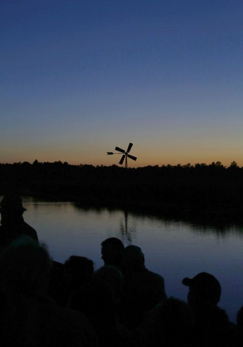 Landschap in het donker