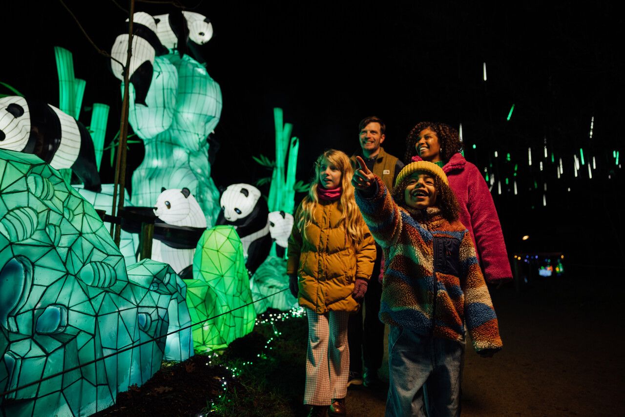Beekse Bergen Light Safari