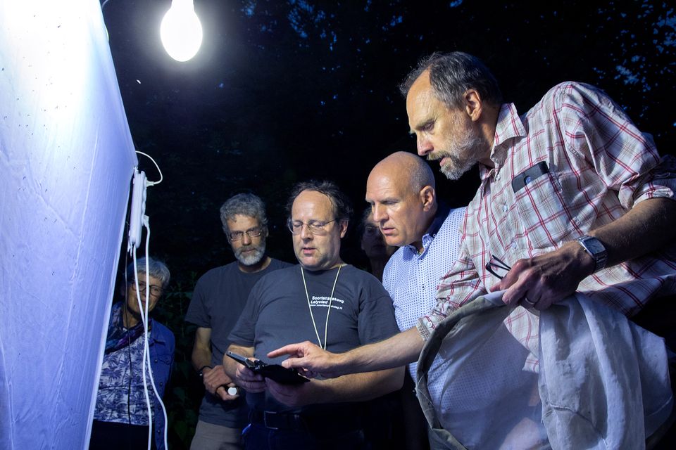 Nachtvlinderexcursie