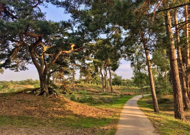Natuurgebieden en landschappen Amersfoort - header