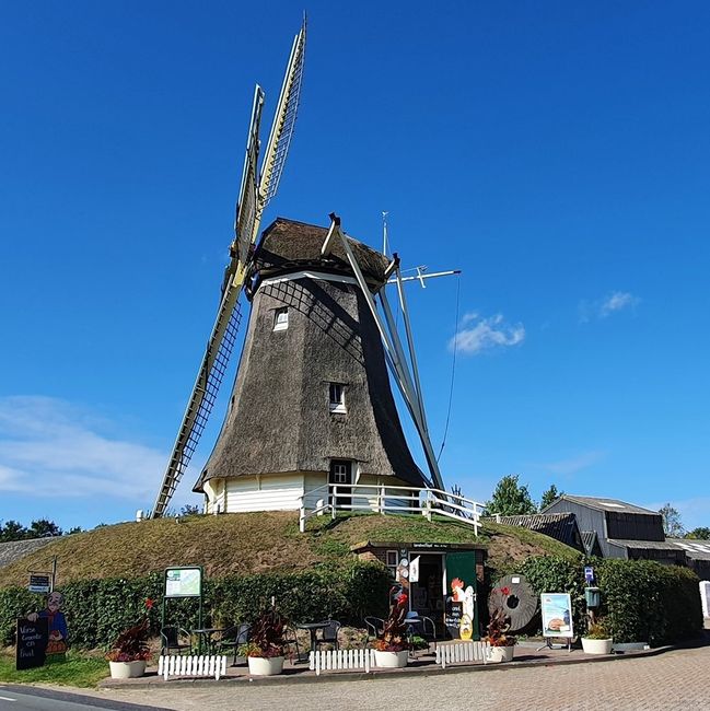 Molen de Duif