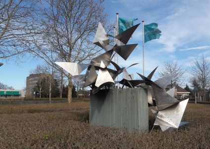 Overvliegende Vogels - wandeling kunstig Deurne