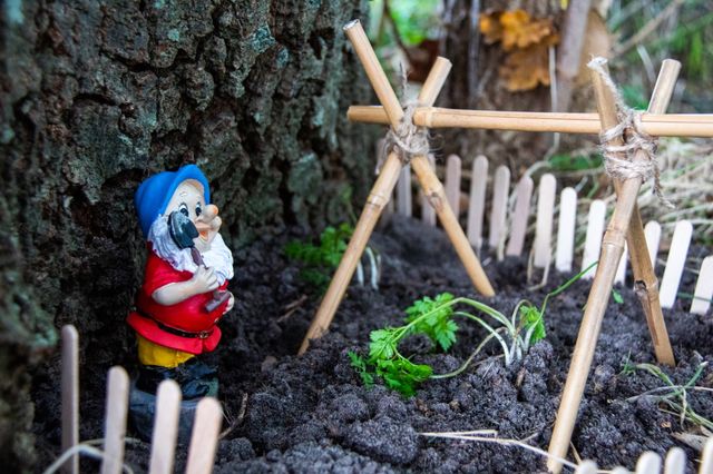 Een tuinkabouter met schep staat in het zand bij zijn mini-moestuin.