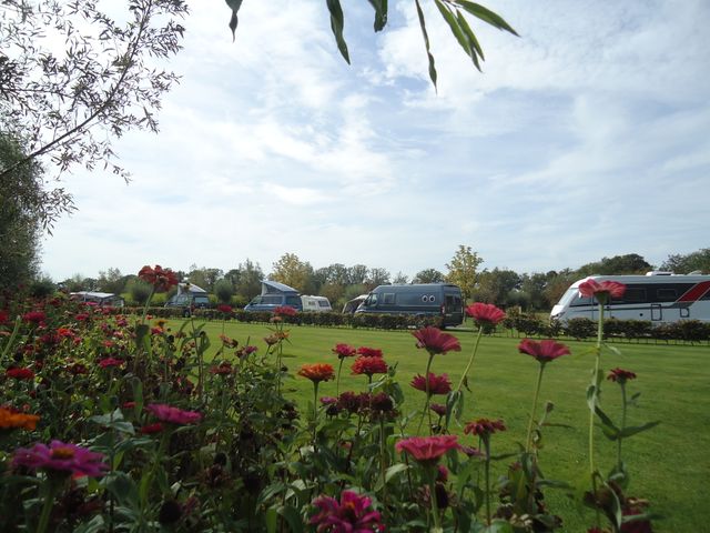 Een strook met rode bloemen met daarachter een groen veld en in de verte staan diverse caravans.
