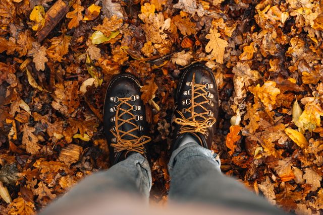 Benen en wandelschoenen die in de herfstbladeren staan vanuit het perspectief van de fotograaf.