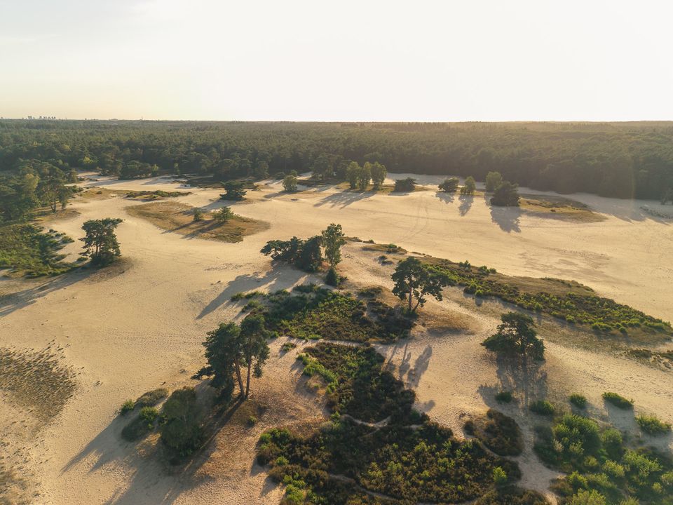 Een sfeervol dronebeeld van de Soesterduinen, met uitgestrekte zandvlaktes, heide en verspreid staande bomen. Het warme avondlicht en de lange schaduwen benadrukken de rust en ruimte van het landschap.
