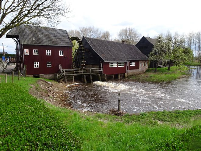 Opwettense watermolen in de zomer