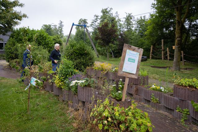 Een foto van de groene muur langs het pad naar de ingang van het hoofdgebouw van Bouwgein