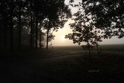 Natural history walk Lieshout