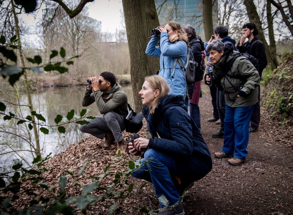 Op pad met de expert: Vogelsafari