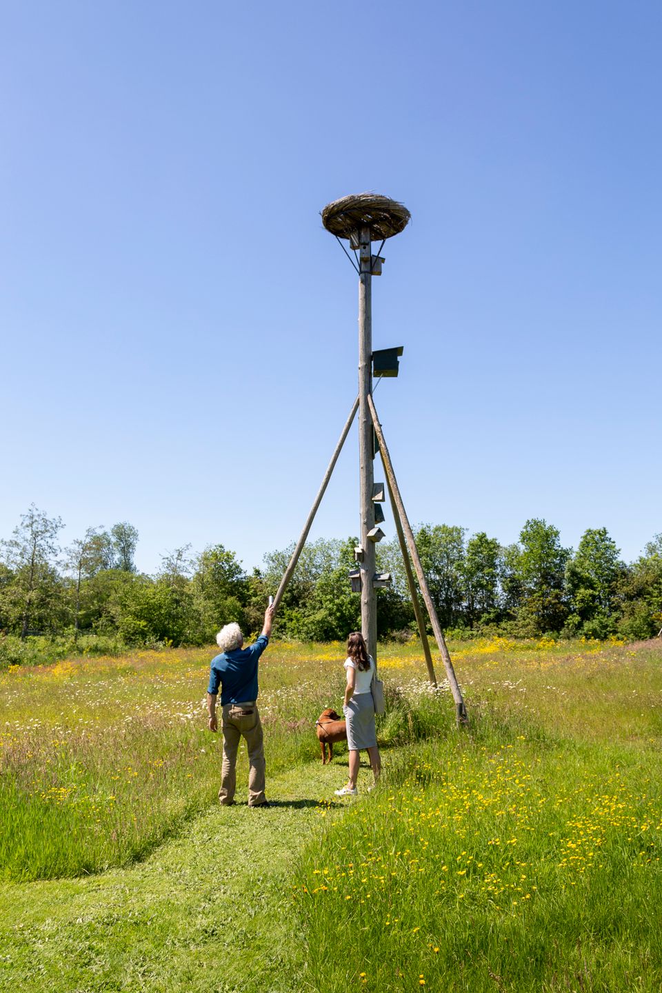 Wiepkje en Fedde bekijken een ooievaars nest in een toren