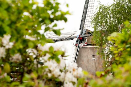Molen Welgelegen Heerenveen