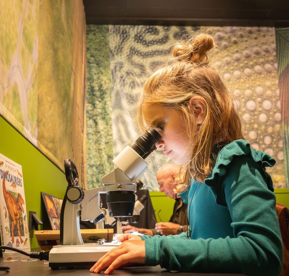 Natuurmuseum Brabant