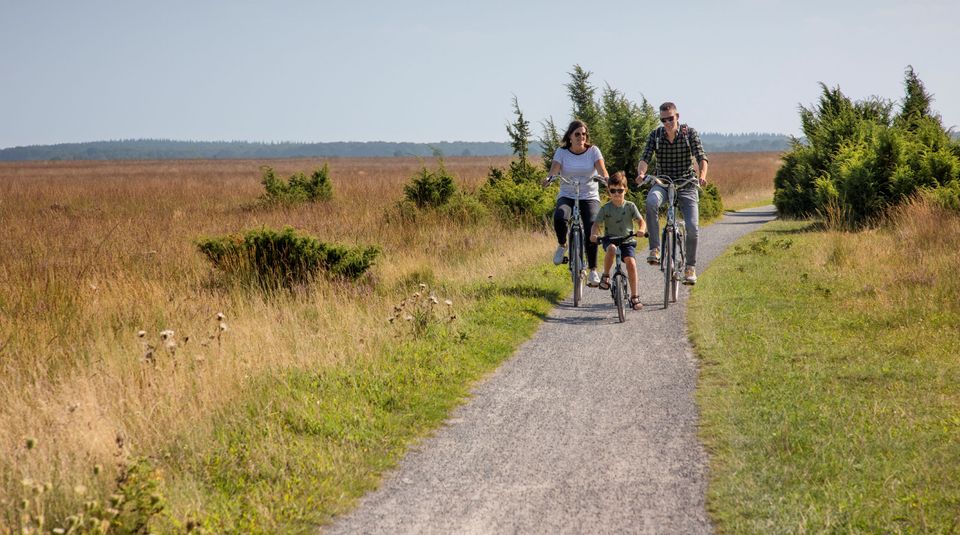 gezin fietsen nationaal park dwingelderveld