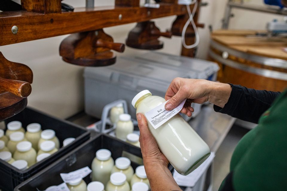 Ambachtelijke melkproductie op een boerderij – Hollandse Ambachten Utrecht Region.