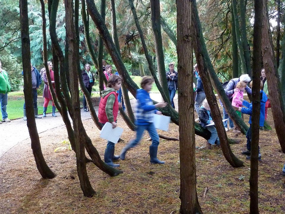 Kinderen in het Pinetum