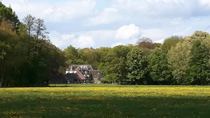 Weiland met bloemen en landgoed Bleijendijk in groene omgeving in Vught