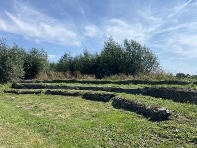 Het amfitheater, een vergader ruimte in de natuur gefaciliteerd door buitenplaats kameryck