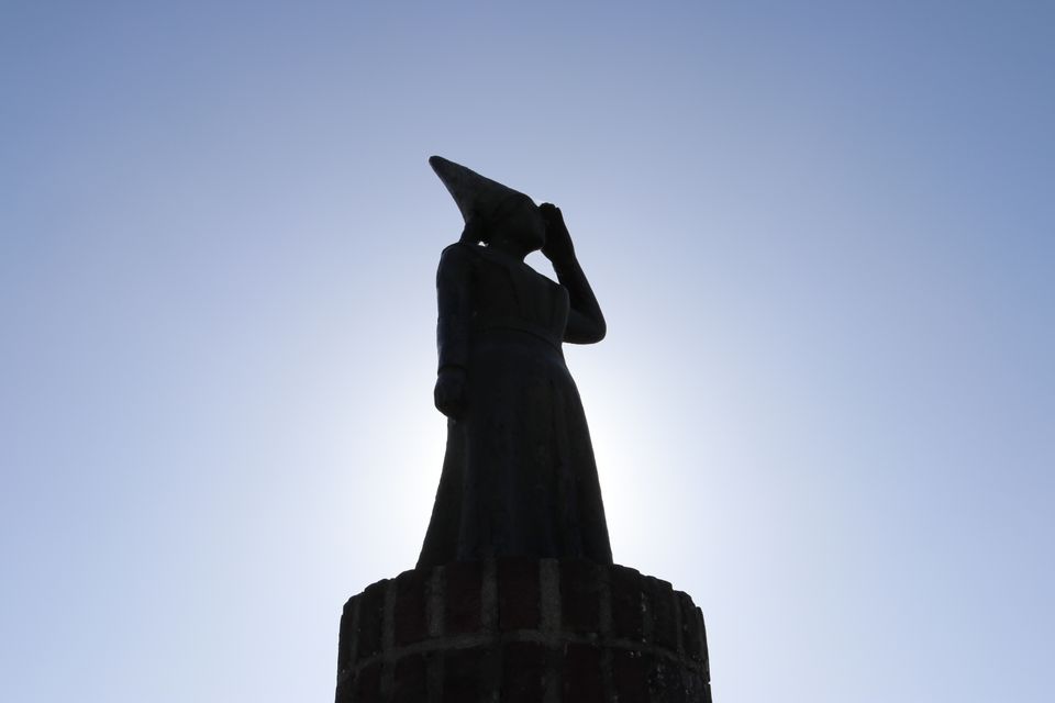 foto van het vrouwtje van stavoren tegen het zonlicht in