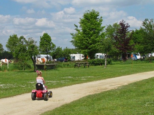 Minicamping