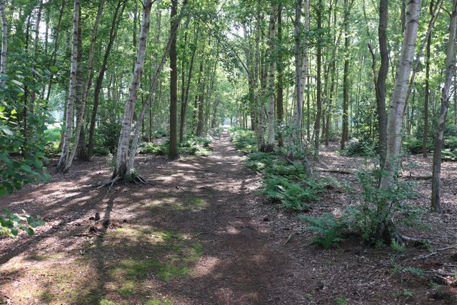 Begraafplaats Kolonie Ommerschans