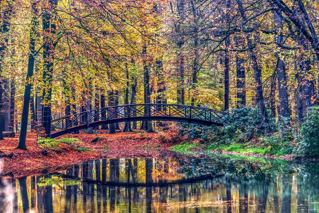 Herfst Voorstonden