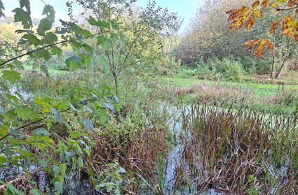 Public walk Nature Garden De Bimd
