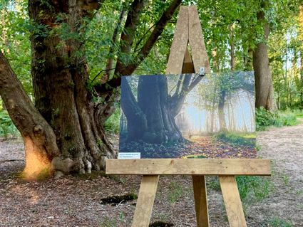 Herfstlandschap tentoongesteld in het zomerlandschap van Wellenseind
