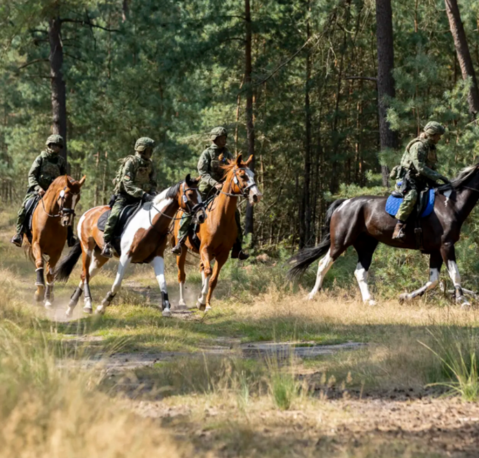 Ruiters op paarden