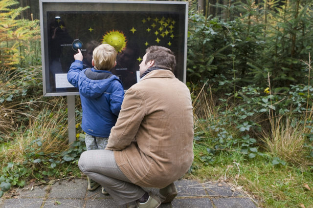 Vater und Sohn betrachten gemeinsam ein Zeichen in der Natur, das die Planeten erklärt.