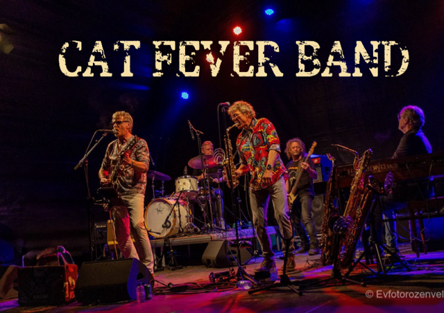 catfeverbandkleur_3385180035.png