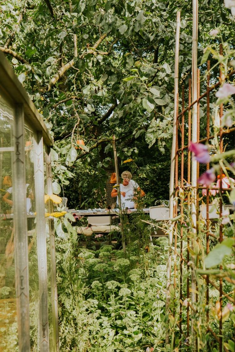 zaai workshop Lottta biologische bloemen